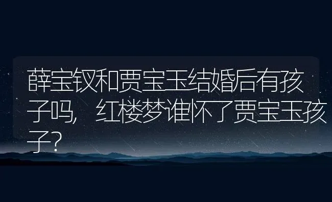 薛宝钗和贾宝玉结婚后有孩子吗,红楼梦谁怀了贾宝玉孩子？ | 养殖科普