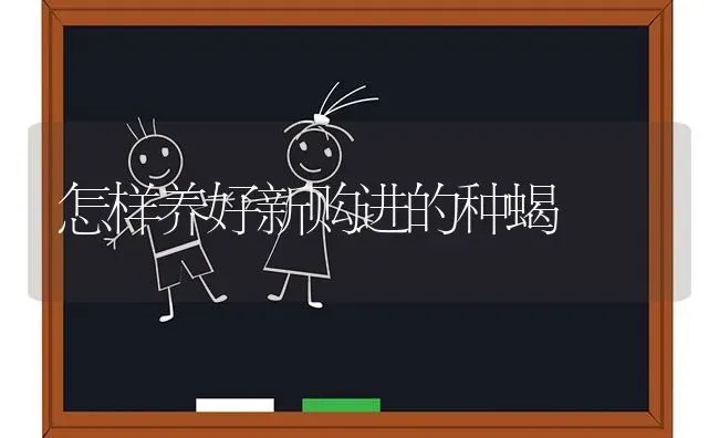 怎样养好新购进的种蝎 | 养殖技术大全