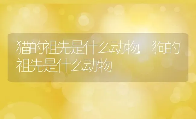 猫的祖先是什么动物,狗的祖先是什么动物 | 养殖资料
