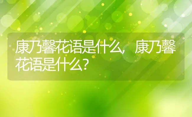 康乃馨花语是什么,康乃馨花语是什么？ | 养殖学堂