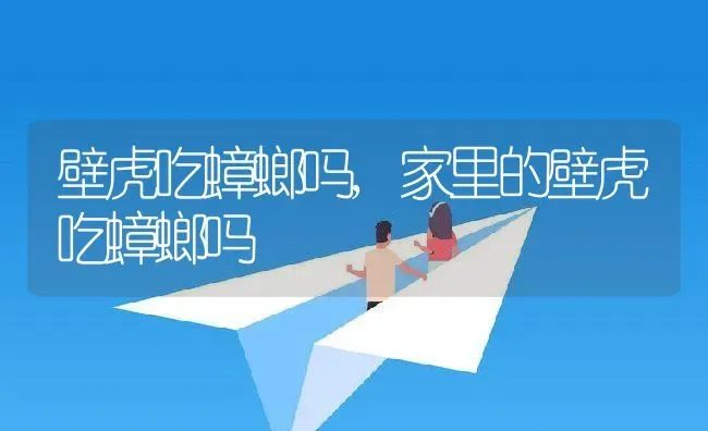 壁虎吃蟑螂吗,家里的壁虎吃蟑螂吗 | 养殖科普