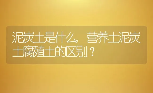 泥炭土是什么,营养土泥炭土腐殖土的区别？ | 养殖科普