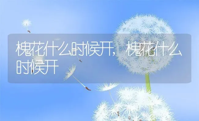 槐花什么时候开,槐花什么时候开 | 养殖科普