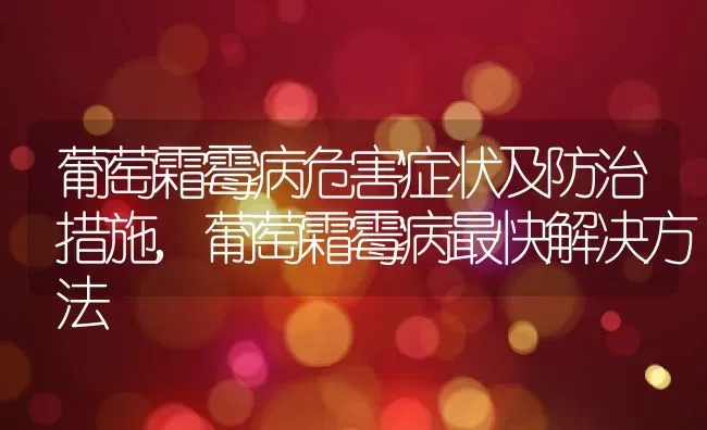 葡萄霜霉病危害症状及防治措施,葡萄霜霉病最快解决方法 | 养殖学堂