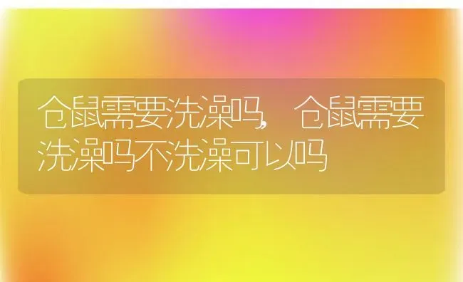 仓鼠需要洗澡吗,仓鼠需要洗澡吗不洗澡可以吗 | 养殖资料