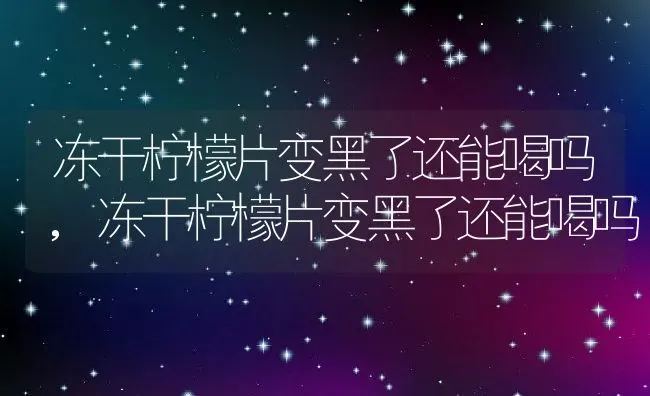 冻干柠檬片变黑了还能喝吗,冻干柠檬片变黑了还能喝吗 | 养殖科普