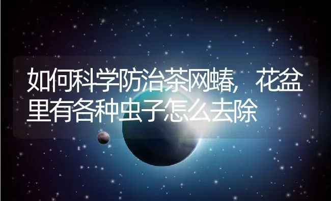 如何科学防治茶网蝽,花盆里有各种虫子怎么去除 | 养殖学堂