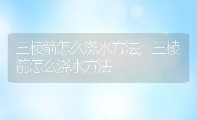 三棱箭怎么浇水方法,三棱箭怎么浇水方法 | 养殖科普