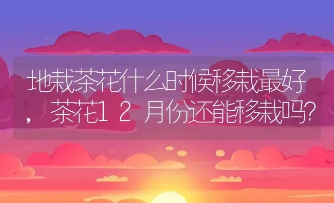 地栽茶花什么时候移栽最好,茶花12月份还能移栽吗？ | 养殖学堂