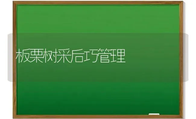 板栗树采后巧管理 | 养殖知识