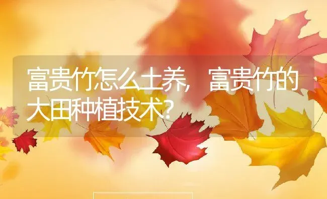 富贵竹怎么土养,富贵竹的大田种植技术？ | 养殖科普