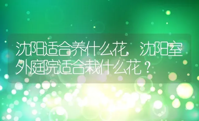 沈阳适合养什么花,沈阳室外庭院适合栽什么花？ | 养殖科普