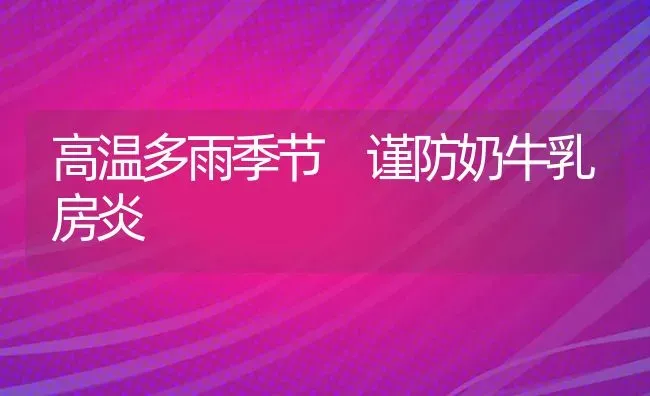 高温多雨季节 谨防奶牛乳房炎 | 养殖技术大全