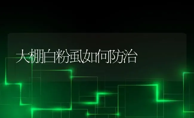 大棚白粉虱如何防治 | 养殖技术大全