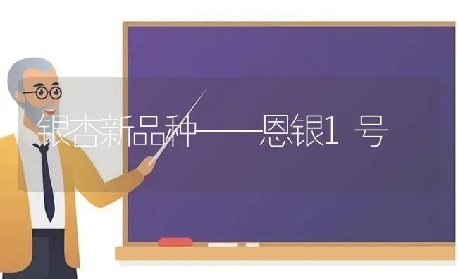银杏新品种——恩银1号 | 养殖技术大全