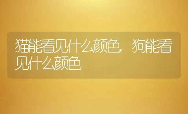 猫能看见什么颜色,狗能看见什么颜色 | 养殖资料