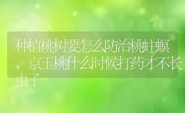 种植桃树要怎么防治桃蛀螟,京玉桃什么时候打药才不长虫子 | 养殖学堂