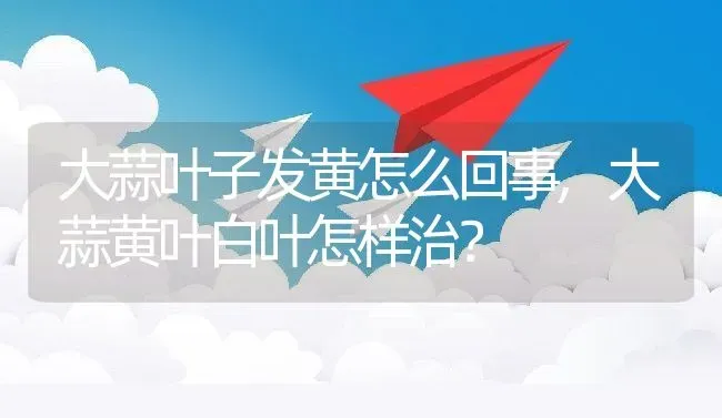 大蒜叶子发黄怎么回事,大蒜黄叶白叶怎样治？ | 养殖科普