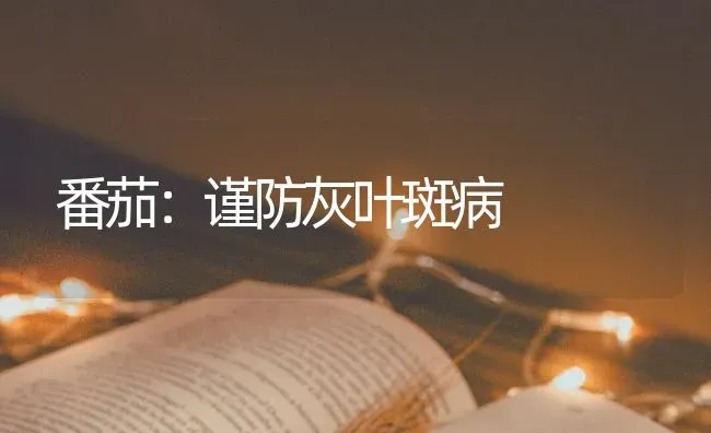 番茄：谨防灰叶斑病 | 养殖技术大全