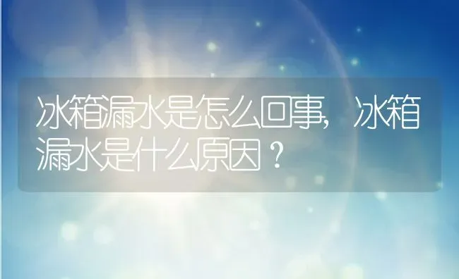 冰箱漏水是怎么回事,冰箱漏水是什么原因？ | 养殖科普