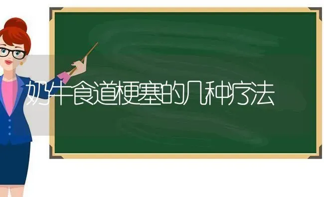 奶牛食道梗塞的几种疗法 | 养殖技术大全