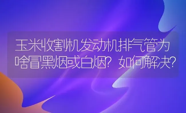 架豆角结荚期如何科学管理 | 养殖技术大全