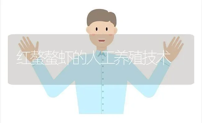 红螯螯虾的人工养殖技术 | 养殖技术大全