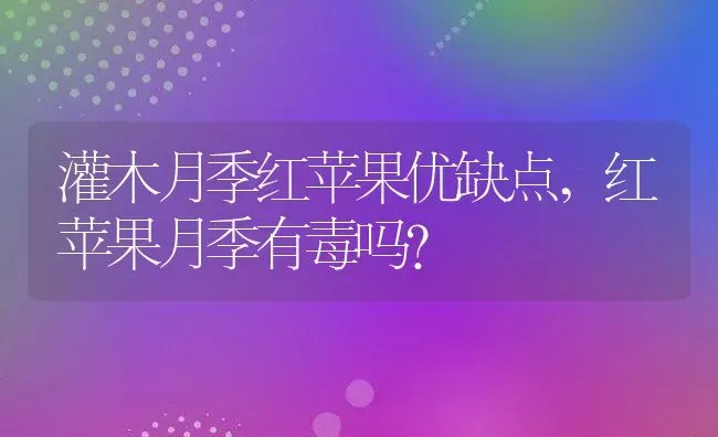 灌木月季红苹果优缺点,红苹果月季有毒吗？ | 养殖科普