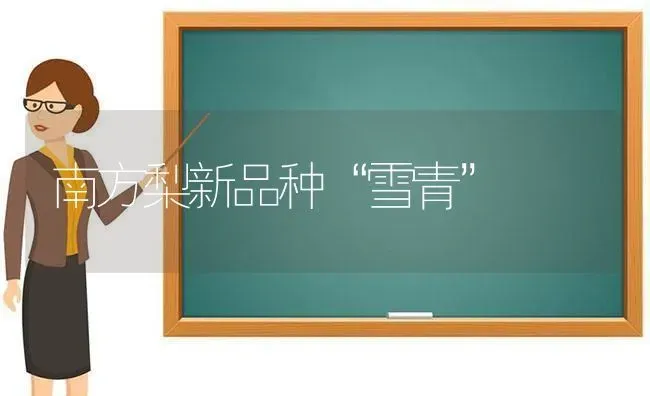 南方梨新品种“雪青” | 养殖技术大全