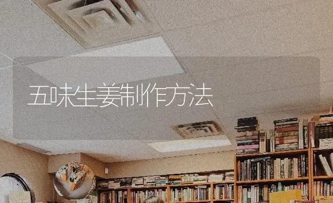 五味生姜制作方法 | 养殖技术大全