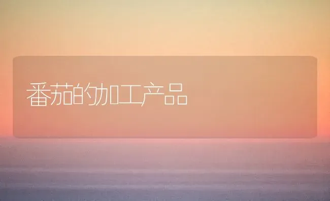 番茄的加工产品 | 养殖技术大全