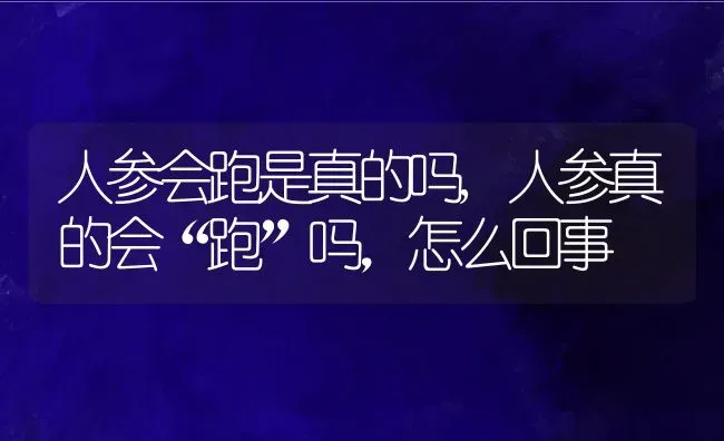 人参会跑是真的吗,人参真的会“跑”吗，怎么回事 | 养殖学堂