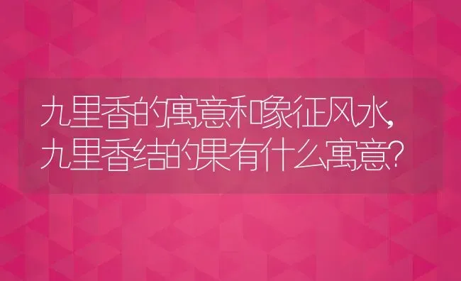 九里香的寓意和象征风水,九里香结的果有什么寓意？ | 养殖科普