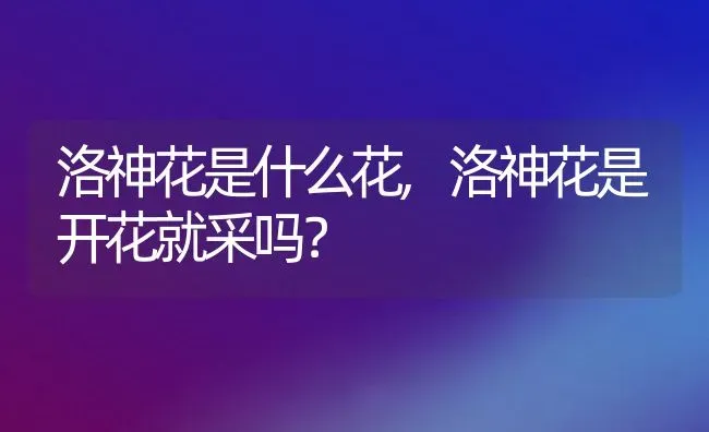 洛神花是什么花,洛神花是开花就采吗？ | 养殖科普