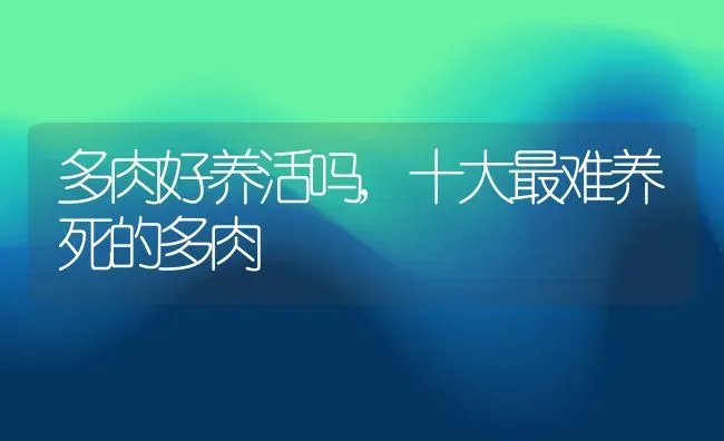 多肉好养活吗,十大最难养死的多肉 | 养殖学堂