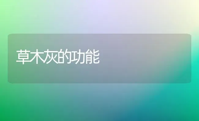 草木灰的功能 | 养殖知识