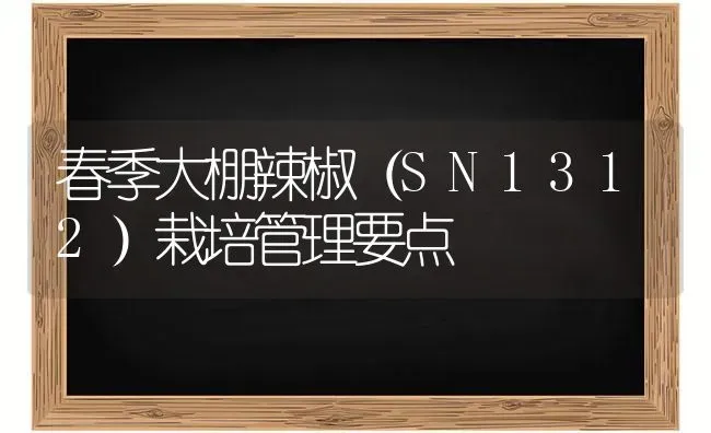 春季大棚辣椒(SN1312)栽培管理要点 | 养殖知识