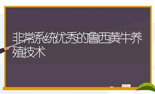 非常系统优秀的鲁西黄牛养殖技术 | 养殖技术大全