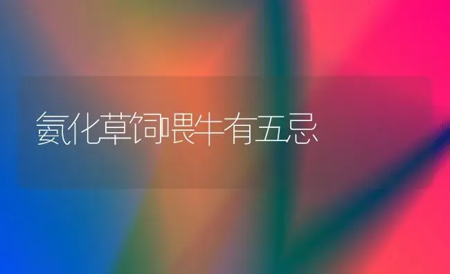 氨化草饲喂牛有五忌 | 养殖技术大全