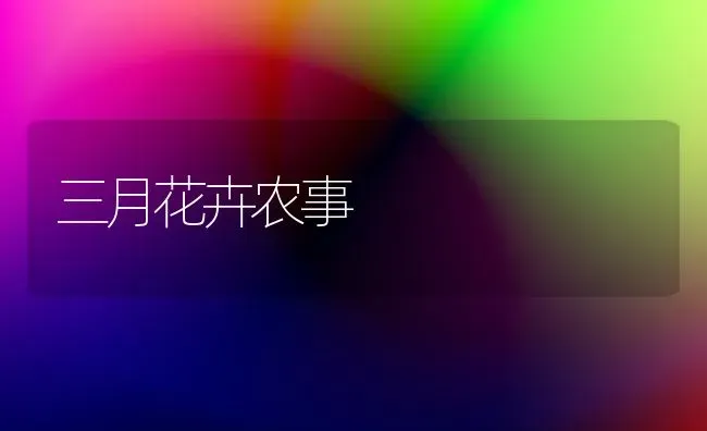 三月花卉农事 | 养殖知识