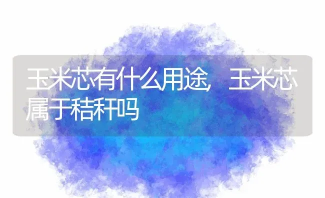 玉米芯有什么用途,玉米芯属于秸秆吗 | 养殖学堂