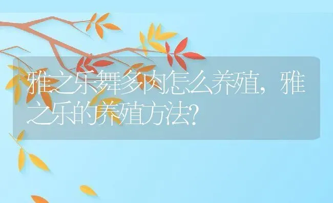 雅之乐舞多肉怎么养殖,雅之乐的养殖方法？ | 养殖科普