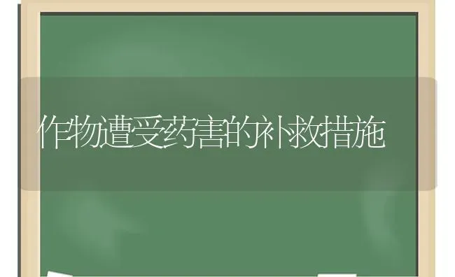 作物遭受药害的补救措施 | 养殖技术大全