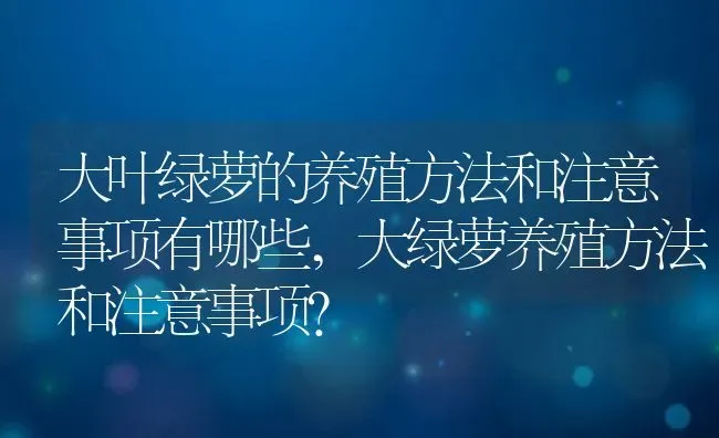 大叶绿萝的养殖方法和注意事项有哪些,大绿萝养殖方法和注意事项？ | 养殖科普