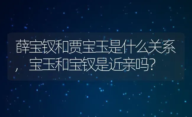 薛宝钗和贾宝玉是什么关系,宝玉和宝钗是近亲吗？ | 养殖科普