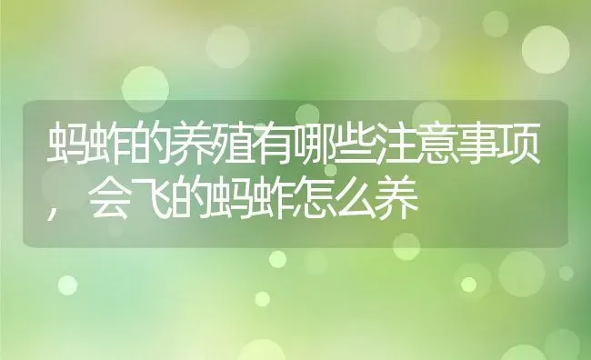 蚂蚱的养殖有哪些注意事项,会飞的蚂蚱怎么养 | 养殖学堂