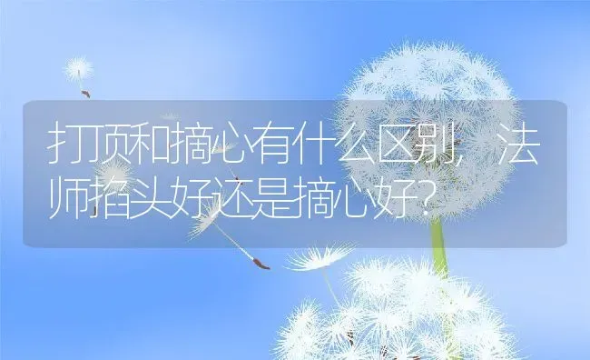打顶和摘心有什么区别,法师掐头好还是摘心好？ | 养殖科普