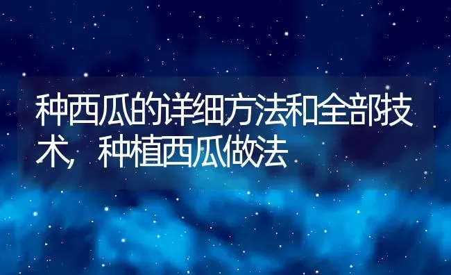 种西瓜的详细方法和全部技术,种植西瓜做法 | 养殖学堂