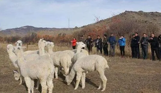 在农村，发展种养殖业，产品可以通过以下方式销售出去 | 农广天地