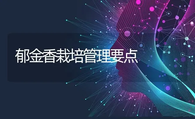 郁金香栽培管理要点 | 养殖技术大全